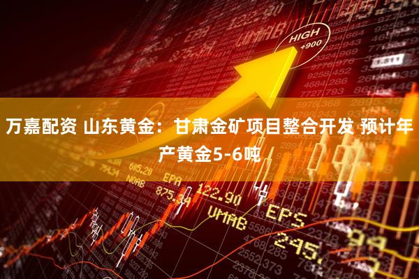 万嘉配资 山东黄金：甘肃金矿项目整合开发 预计年产黄金5-6吨
