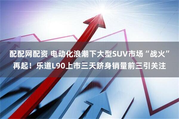配配网配资 电动化浪潮下大型SUV市场“战火”再起！乐道L90上市三天跻身销量前三引关注