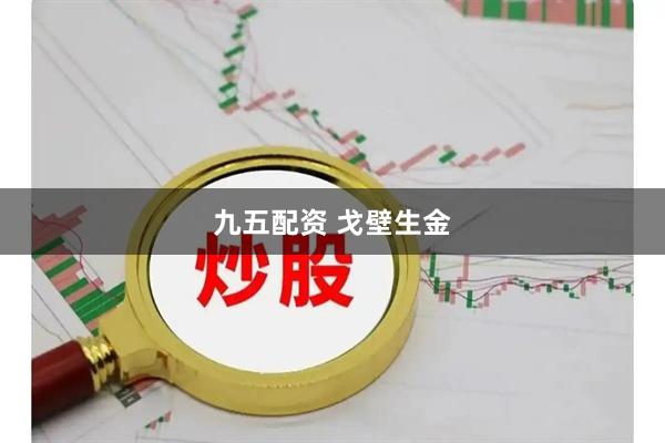 九五配资 戈壁生金