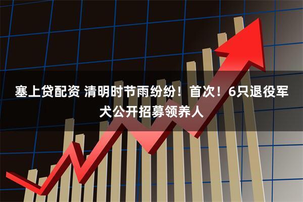 塞上贷配资 清明时节雨纷纷！首次！6只退役军犬公开招募领养人