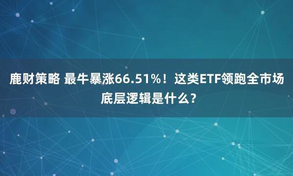 鹿财策略 最牛暴涨66.51%！这类ETF领跑全市场 底层逻辑是什么？